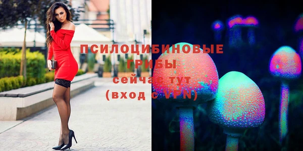 мяу мяу кристалл Михайлов